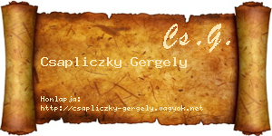 Csapliczky Gergely névjegykártya